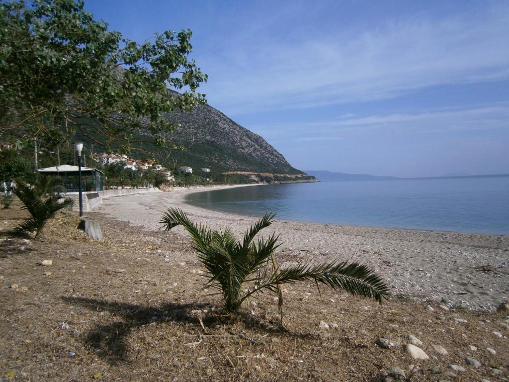 Petros Studios Poros  Exteriér fotografie